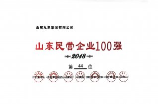 ɽӪҵ100ǿ 18