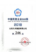 йӪҵ500ǿ246λ 18