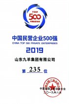 йӪҵ500ǿ235λ 19